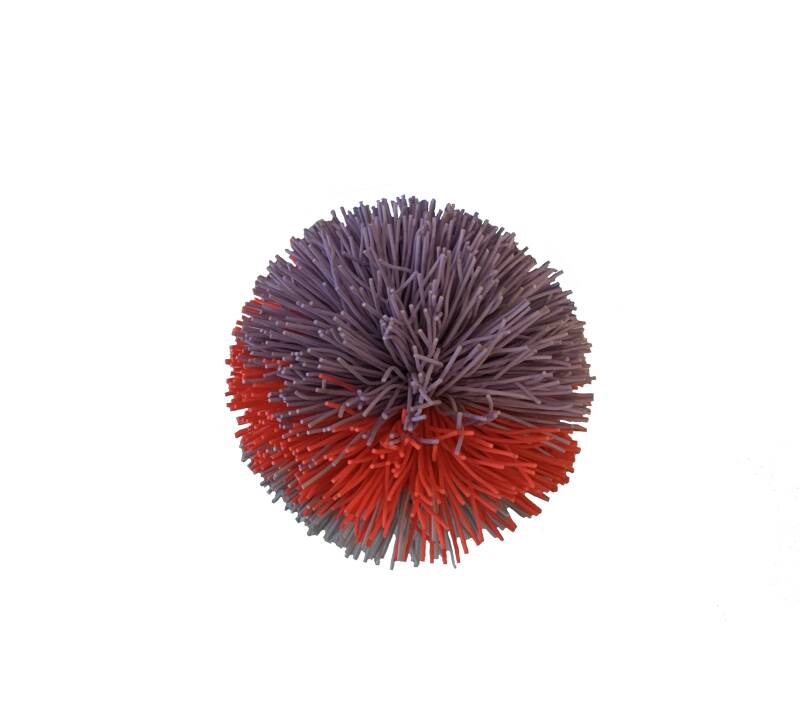 Buschwusch Ball – Hauptansicht