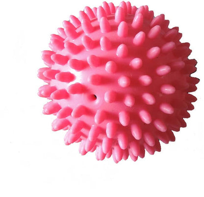 Igelball – Hauptansicht