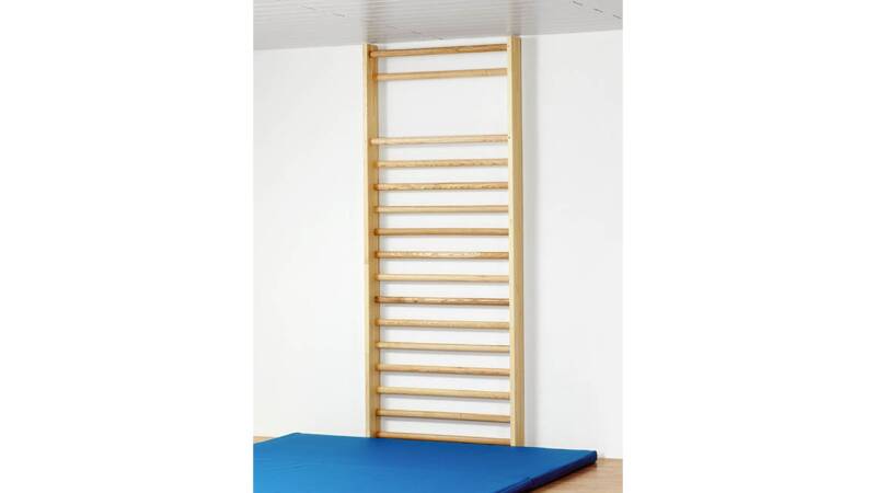 Sprossenwand, HxB 230x100 cm, ovale Sprossen, montiert – Hauptansicht